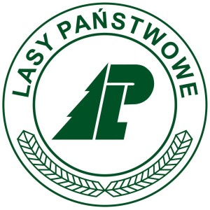logo_lasy[1]